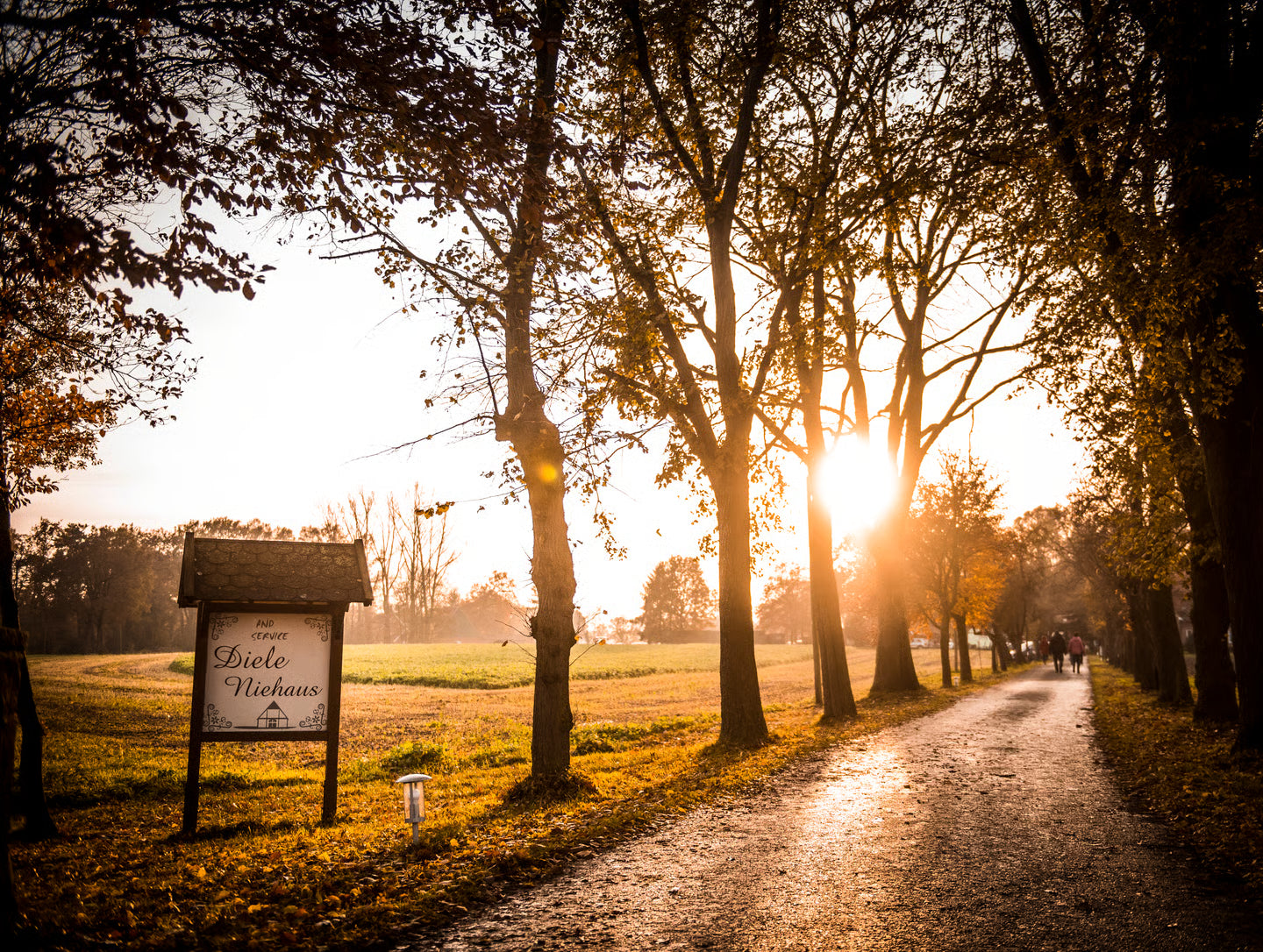 BINGO BEATS BENEFIZ 🎉