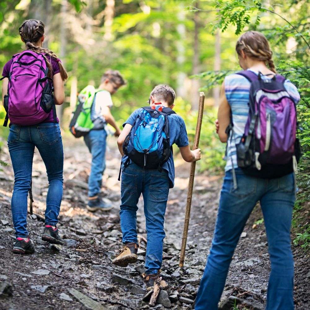 🌲 Forest Experience – Wandern mit Pferd