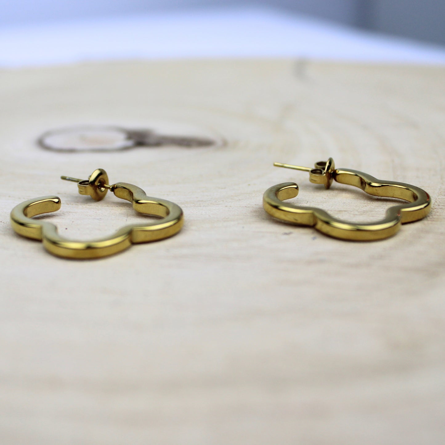 Edelstahl Ohrringe – Gold, nickelfrei